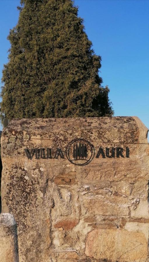 Villa Auri Vila Nova de Foz Cõa Exterior foto